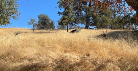Nancys Ridge Rd, Coulterville, CA 95311 Photo