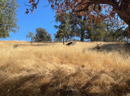 Nancys Ridge Rd, Coulterville, CA 95311 Photo