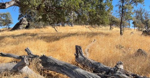 Nancys Ridge Rd, Coulterville, CA 95311 Photo