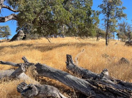 Nancys Ridge Rd, Coulterville, CA 95311 Photo