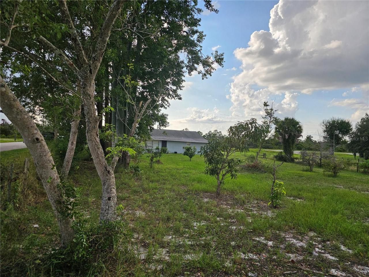 320 County Road 619, Lake Placid, FL 33852 Photo