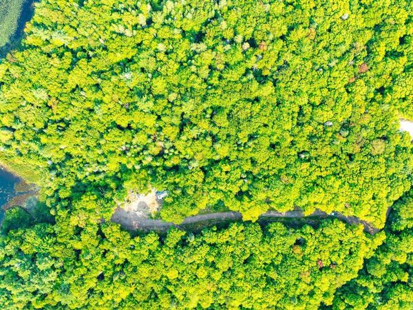 32464 Keweenaw Pass Road, Torch Lake Twp, MI 49945