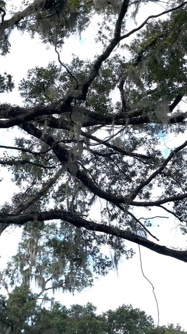 Parcel B NW 160th Avenue, Morriston, FL 32668 Photo