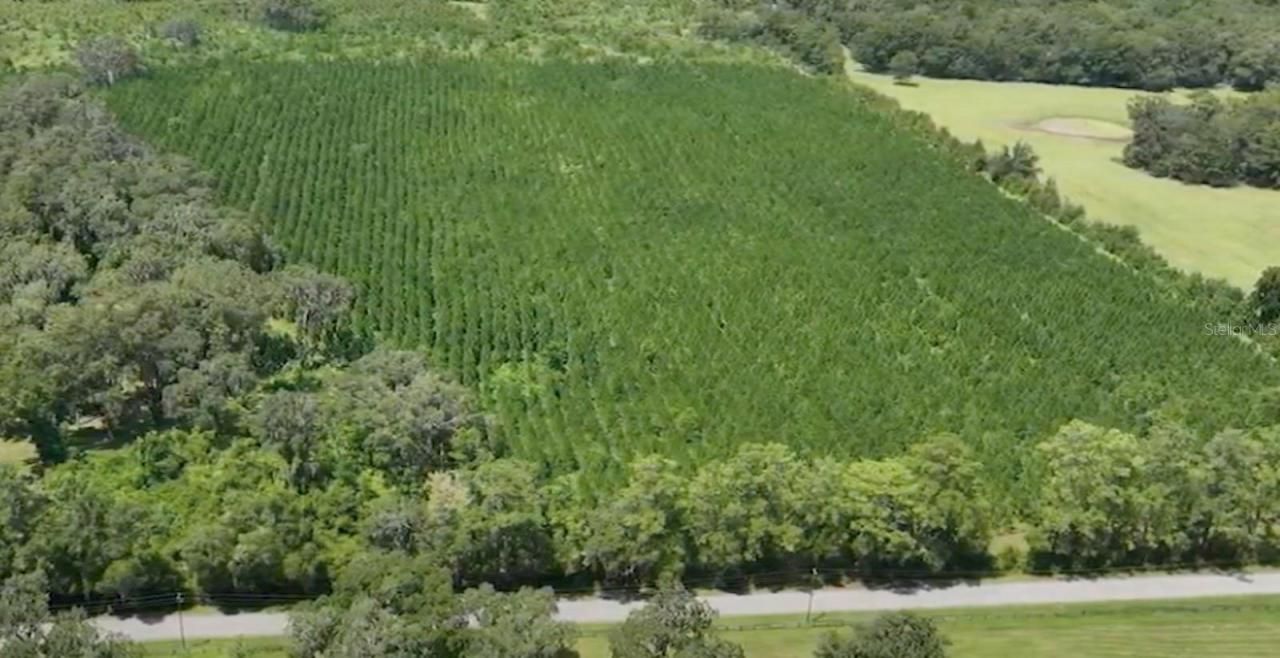 Parcel B NW 160th Avenue, Morriston, FL 32668 Photo