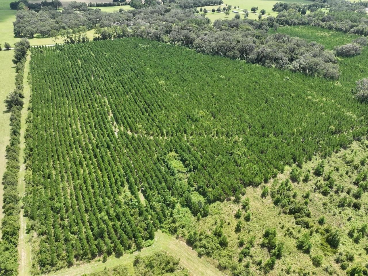 Parcel B NW 160th Avenue, Morriston, FL 32668 Photo