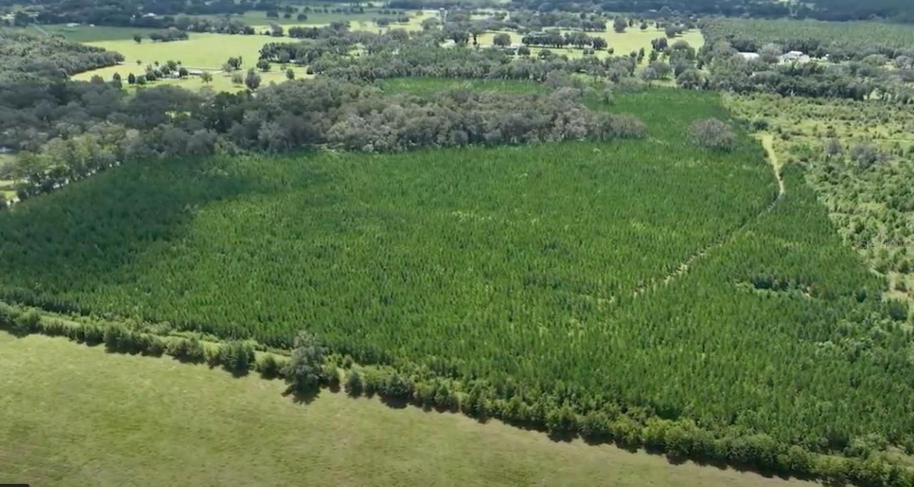 Parcel B NW 160th Avenue, Morriston, FL 32668 Photo