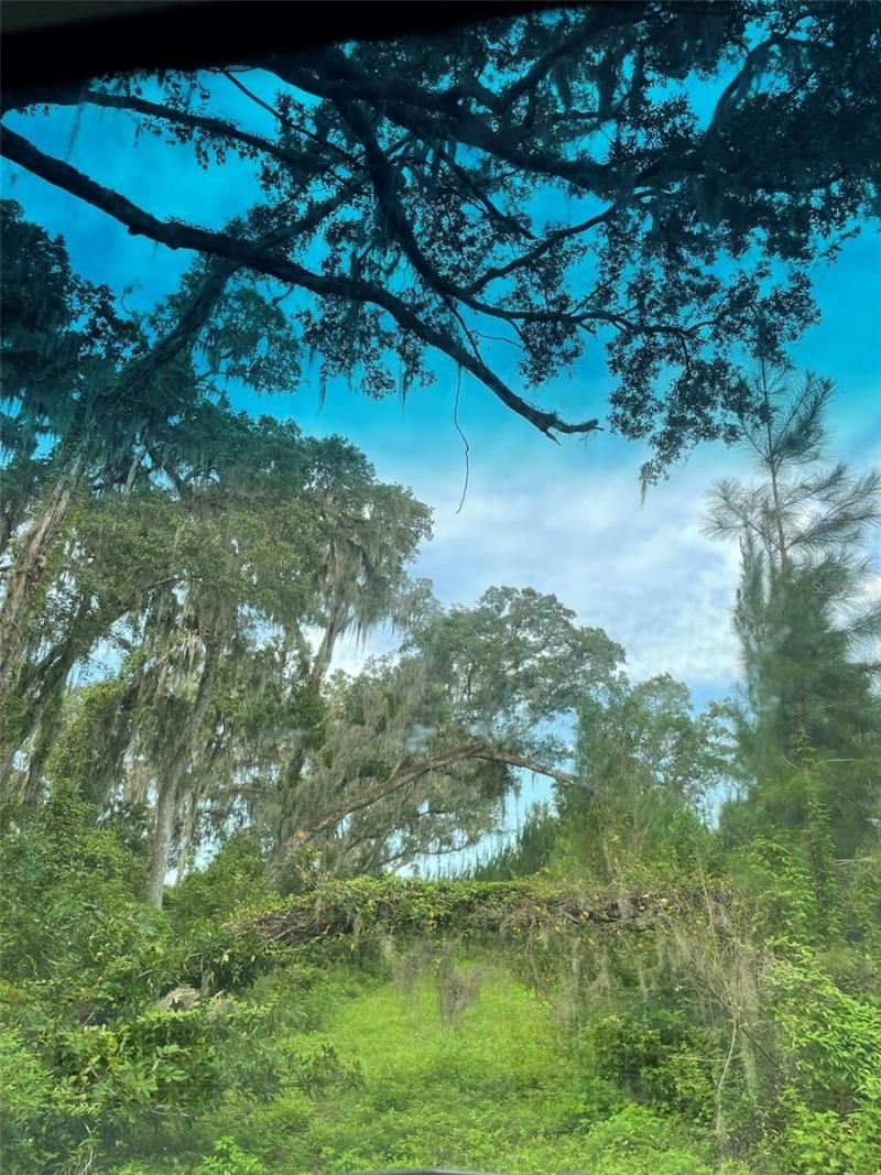 Please Call For Address, Morriston, FL 32668 Photo