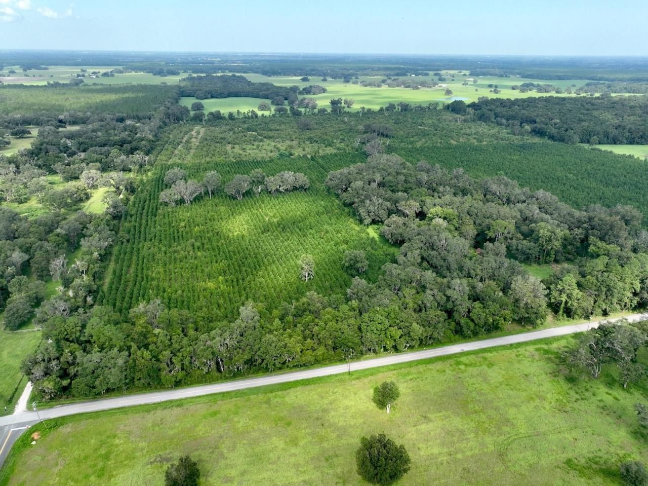 Please Call For Address, Morriston, FL 32668 Photo