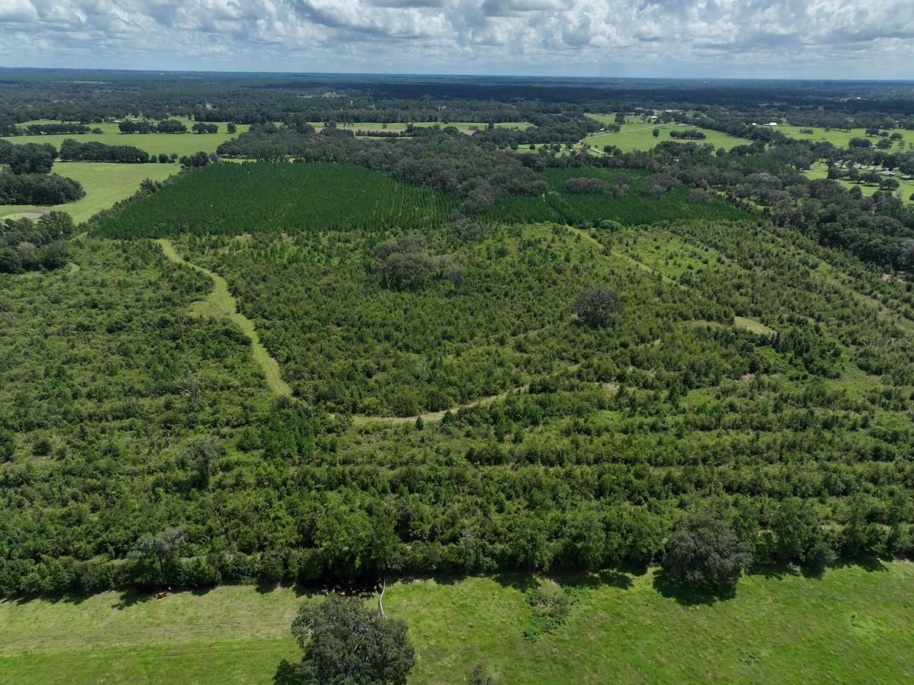 Please Call For Address, Morriston, FL 32668 Photo