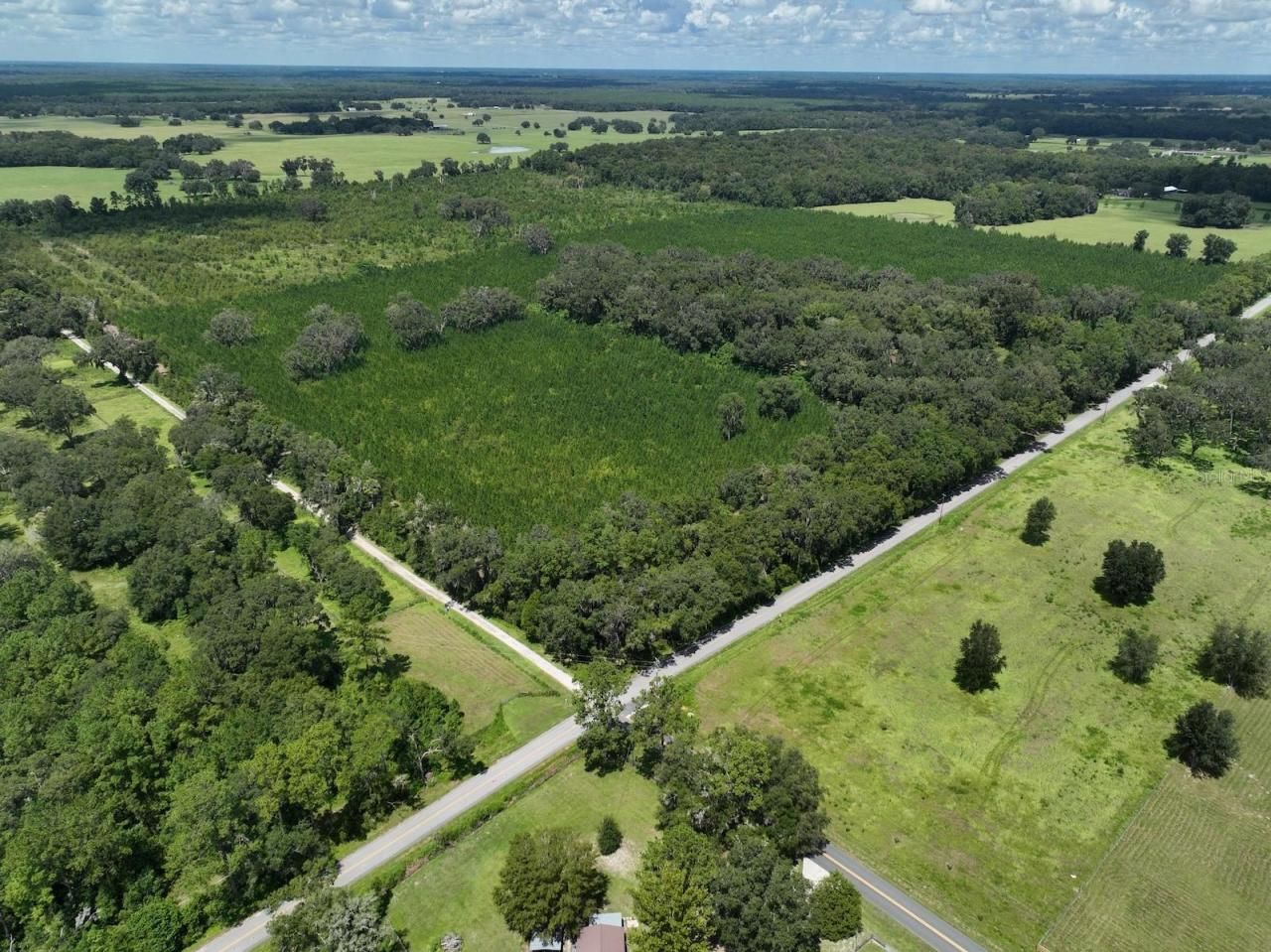 Please Call For Address, Morriston, FL 32668 Photo