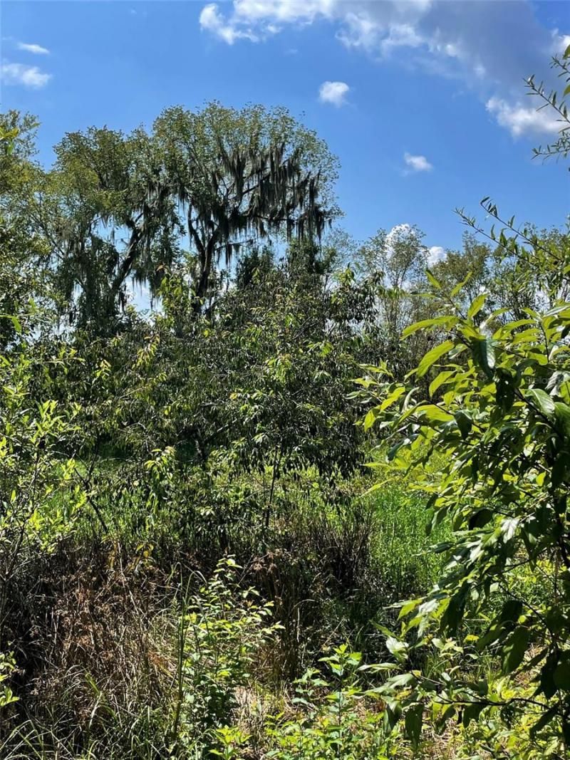 Please Call For Address, Morriston, FL 32668 Photo