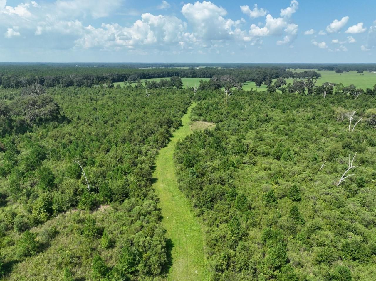 Please Call For Address, Morriston, FL 32668 Photo