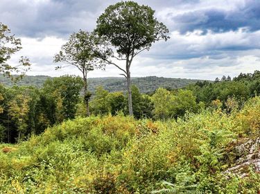 101 Lower Church Hill, Washington, CT 06794