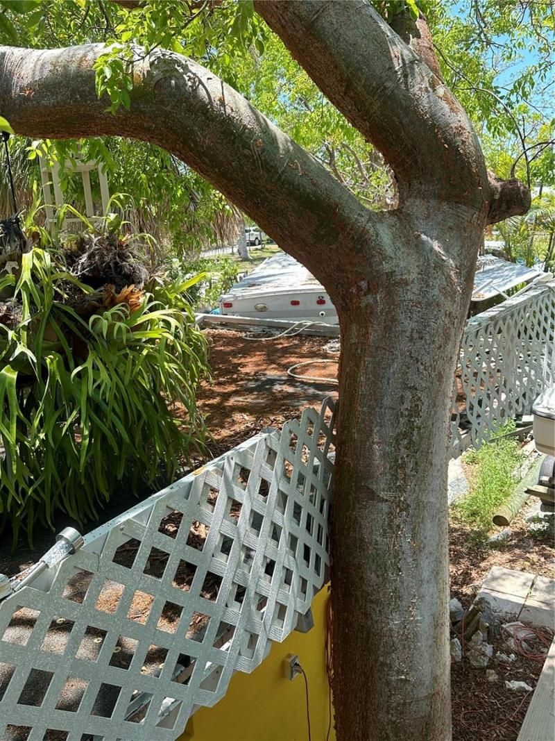 563 Coconut Avenue, Goodland, FL 34140 Photo