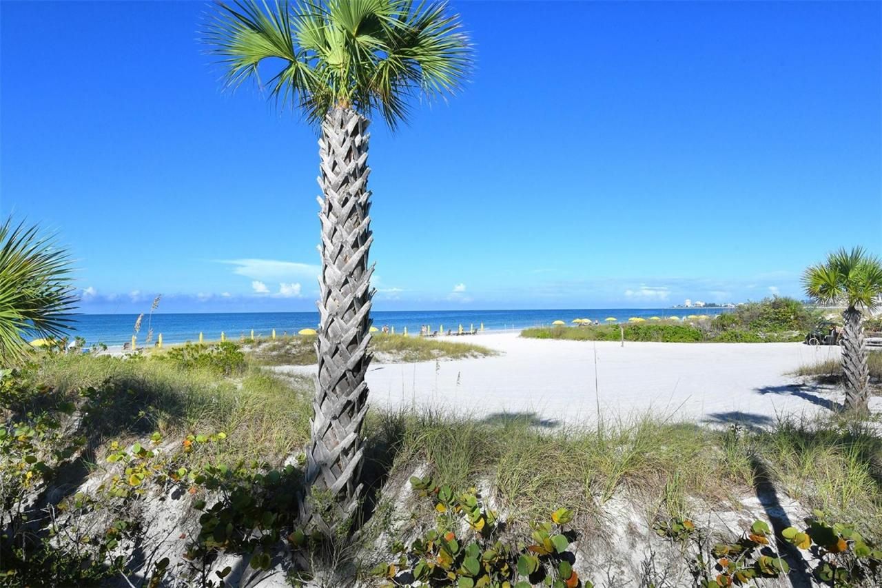 915 Seaside Drive, Unit 312, Weeks, Sarasota, FL 34242 Photo