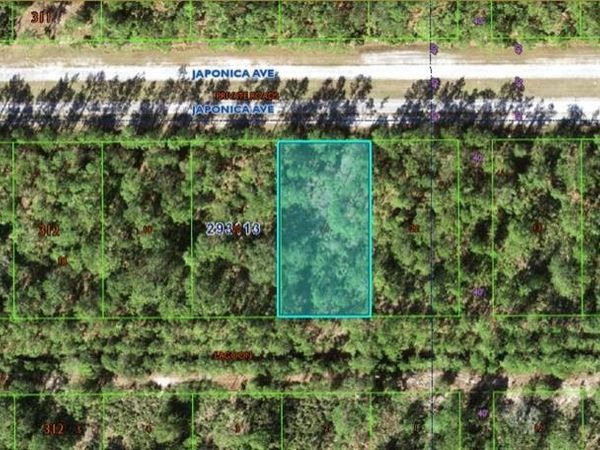 1103 JAPONICA AVENUE, INDIAN LAKE ESTATES, FL 33855