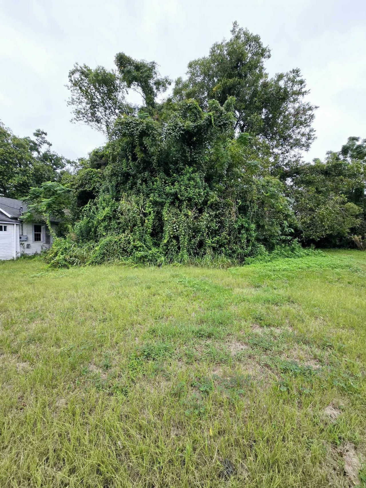 1990 Irving Avenue Photo 1