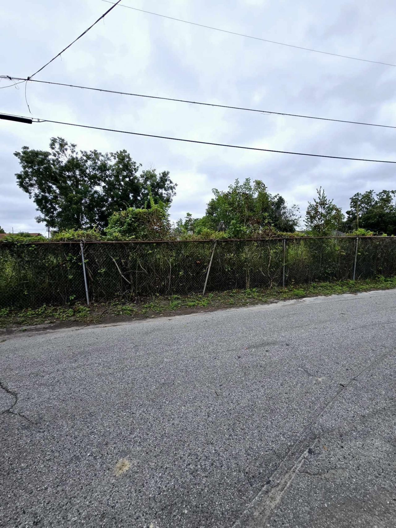 1990 Irving Avenue Photo 3