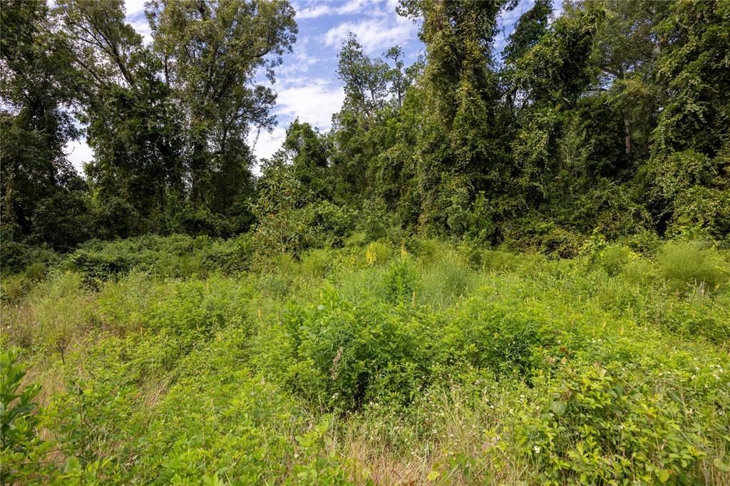 131 Riley Lake Drive, Hawthorne, FL 32640 Photo