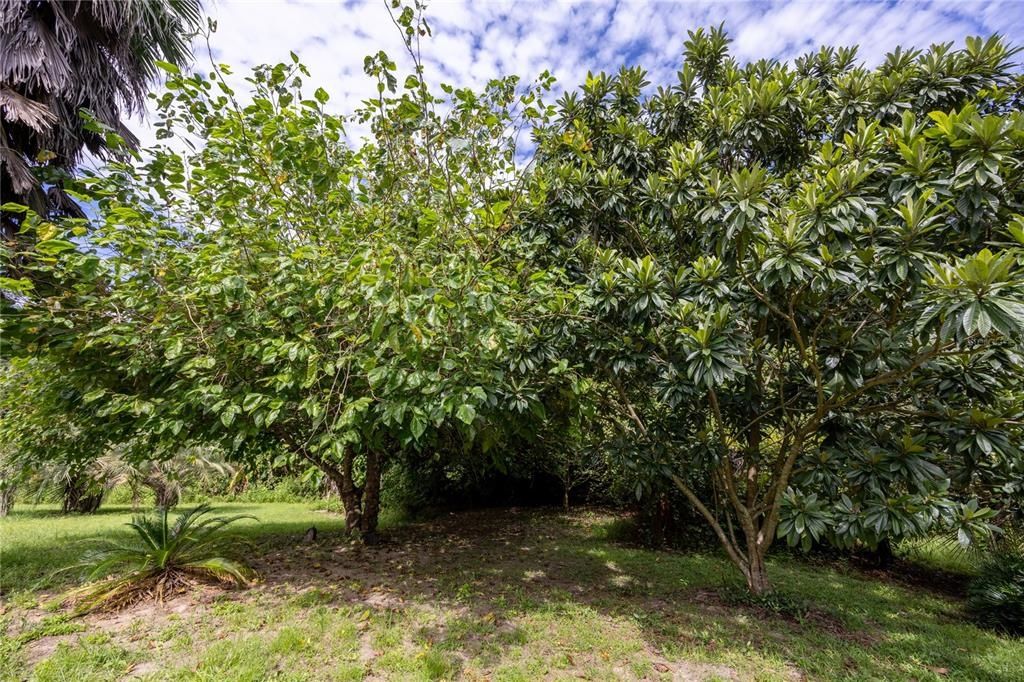 131 Riley Lake Drive, Hawthorne, FL 32640 Photo