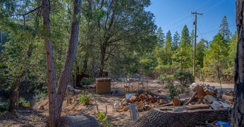 10038 Holtzel Rd, Coulterville, CA 95311 Photo