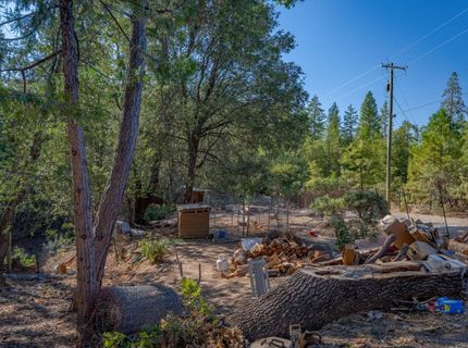 10038 Holtzel Rd, Coulterville, CA 95311 Photo