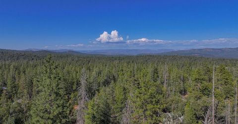 10038 Holtzel Rd, Coulterville, CA 95311 Photo