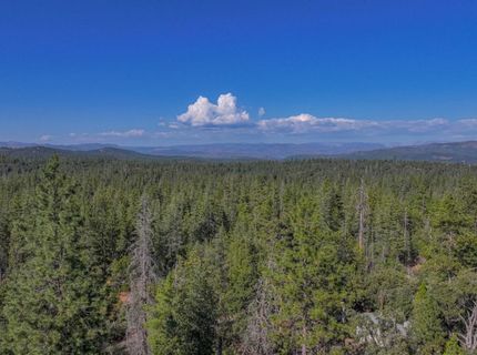 10038 Holtzel Rd, Coulterville, CA 95311 Photo