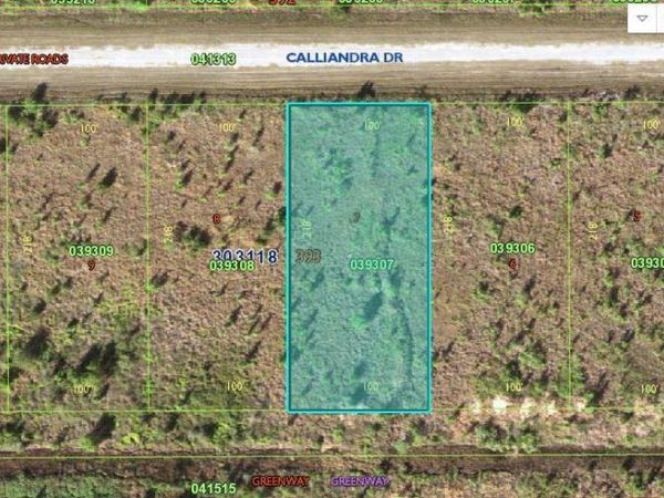CALLIANDRA DRIVE, LAKE WALES, FL 33855
