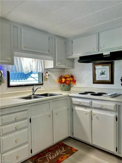 221 Shrub Ln N, North Fort Myers, FL 33917 Photo