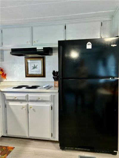 221 Shrub Ln N, North Fort Myers, FL 33917 Photo