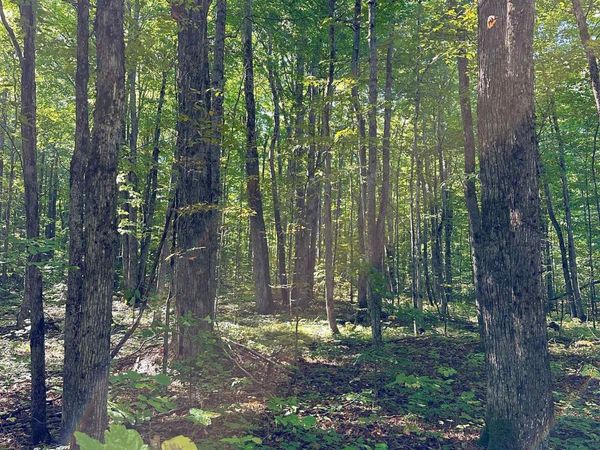 Woodland Drive NE, Kalkaska, MI 00000