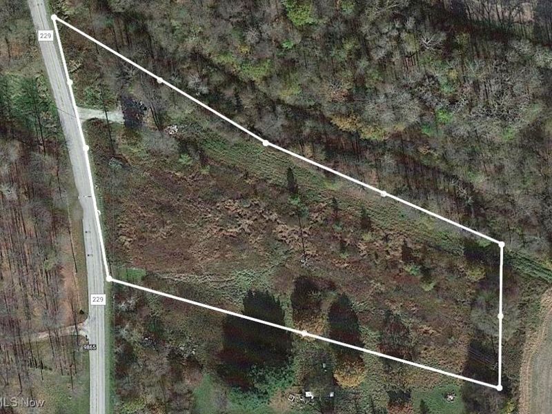 V/L Parkman Road, Windham, OH 44288 Photo 1