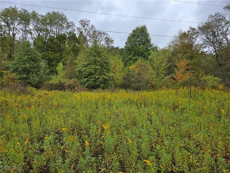 V/L Parkman Road, Windham, OH 44288 Photo 10