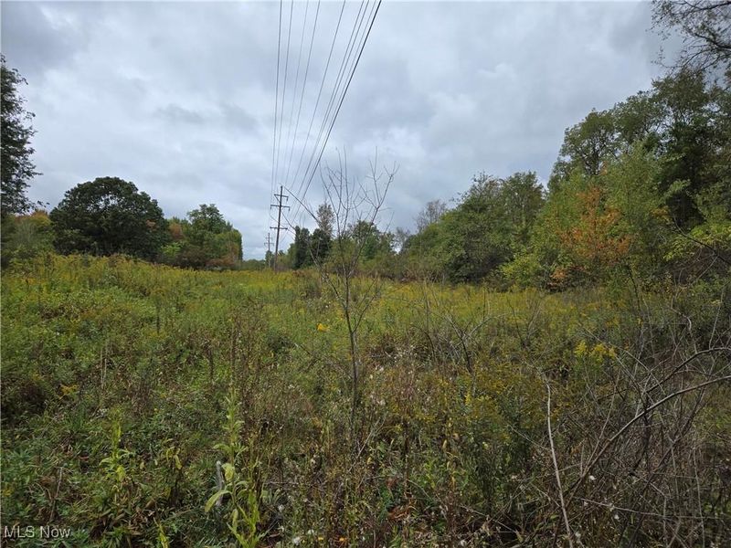 V/L Parkman Road, Windham, OH 44288 Photo 13