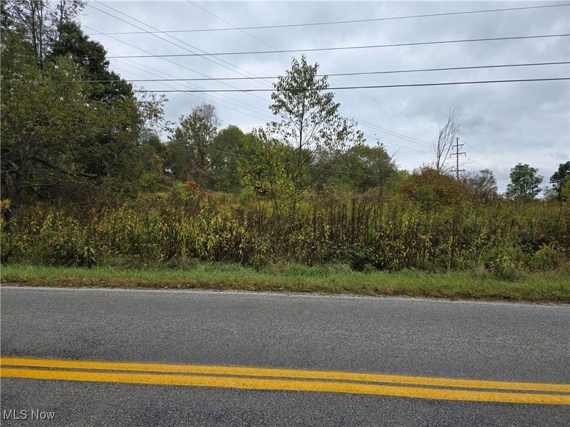 V/L Parkman Road, Windham, OH 44288 Photo 2