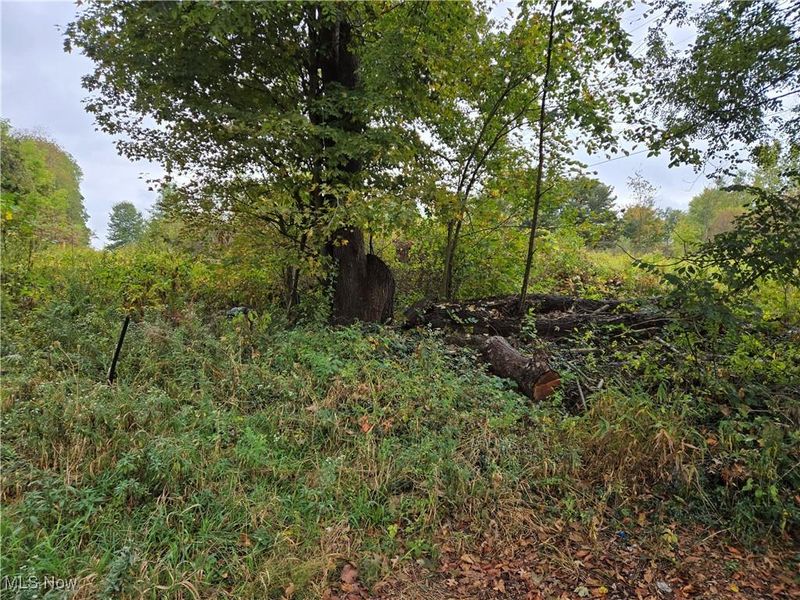 V/L Parkman Road, Windham, OH 44288 Photo 4