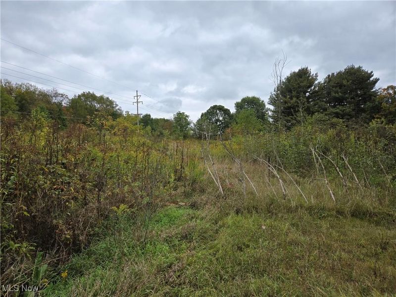 V/L Parkman Road, Windham, OH 44288 Photo 6