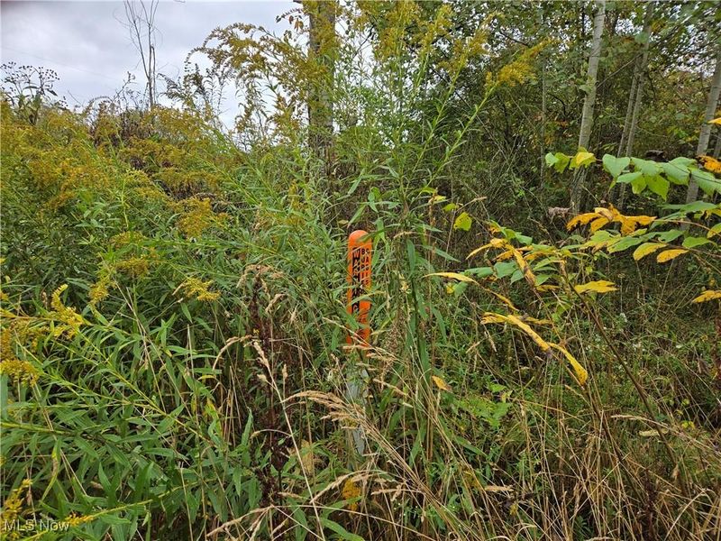 V/L Parkman Road, Windham, OH 44288 Photo 7