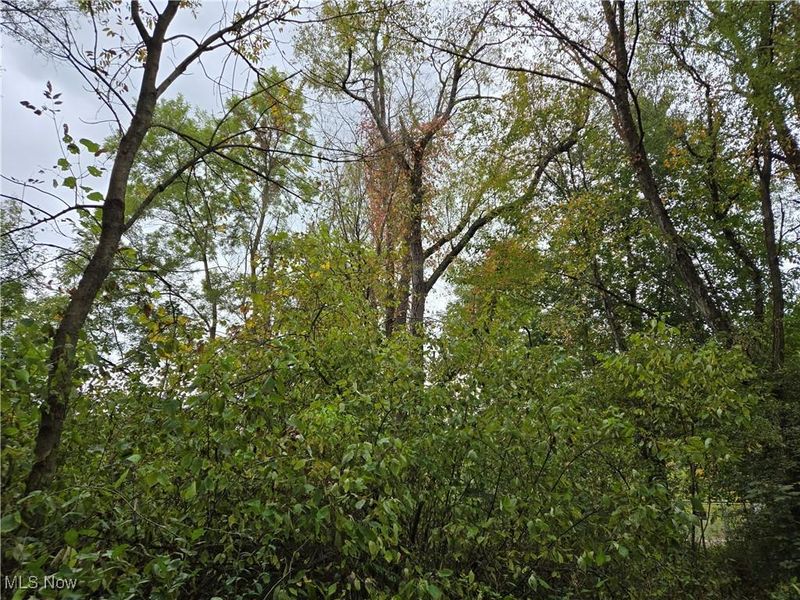 V/L Parkman Road, Windham, OH 44288 Photo 8