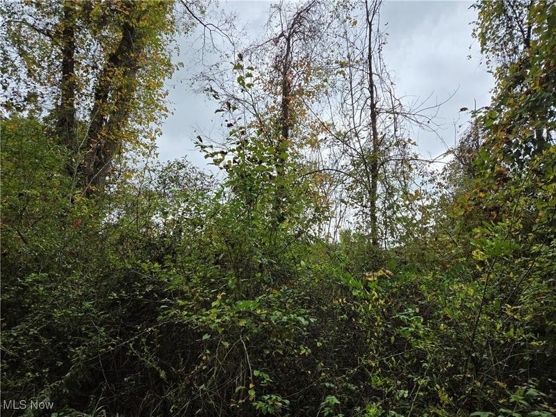 V/L Parkman Road, Windham, OH 44288 Photo 9