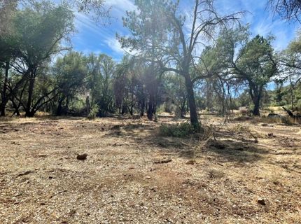 Darby Rd, Bangor, CA 95914 Photo