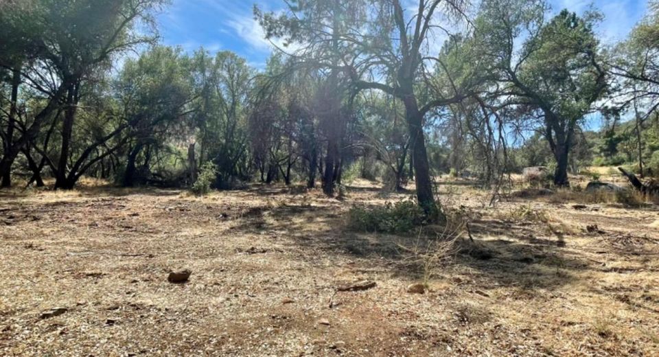 Darby Rd, Bangor, CA 95914 Photo