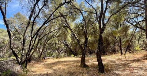 Darby Rd, Bangor, CA 95914 Photo