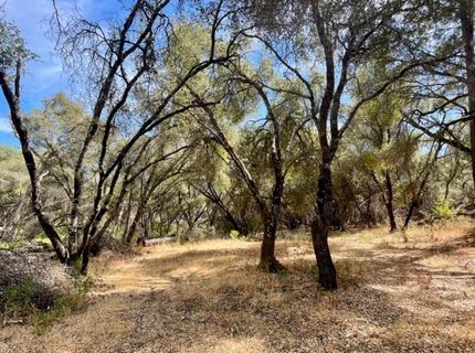 Darby Rd, Bangor, CA 95914 Photo