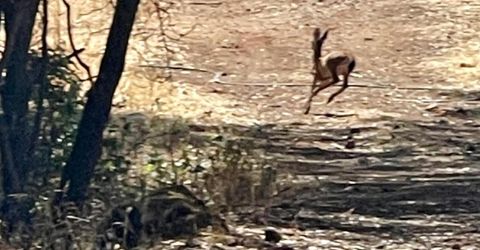 Darby Rd, Bangor, CA 95914 Photo