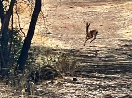 Darby Rd, Bangor, CA 95914 Photo