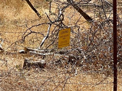 Darby Rd, Bangor, CA 95914 Photo