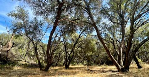 Darby Rd, Bangor, CA 95914 Photo