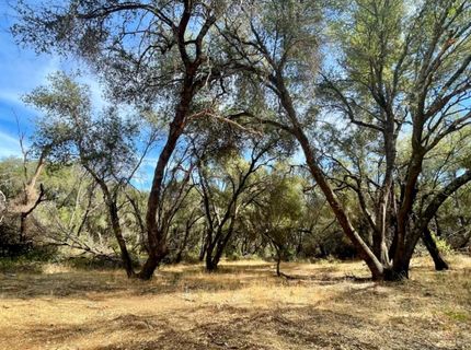 Darby Rd, Bangor, CA 95914 Photo